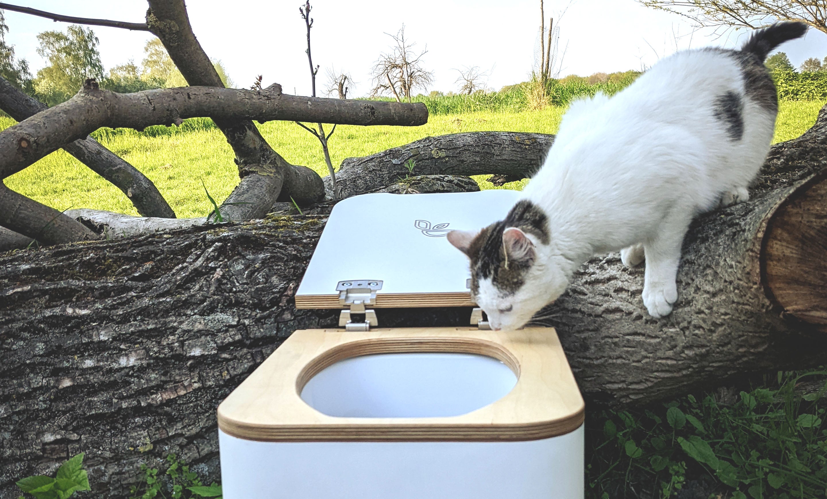 What to do when your composting toilet smells – Trelino